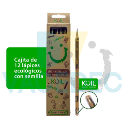 LAPICES DE GRAFITO