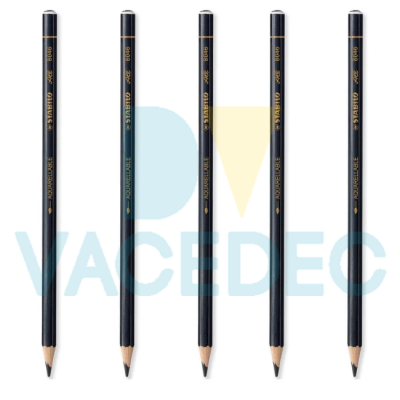 LAPICES DE DIBUJO